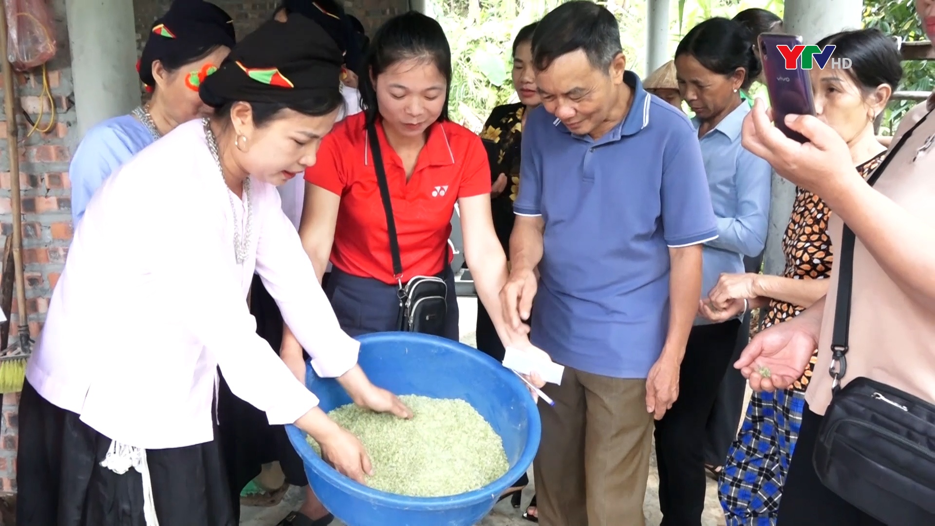 Tập huấn kỹ thuật trồng cây lúa nếp và kỹ thuật sao cốm cho nông dân Lục Yên