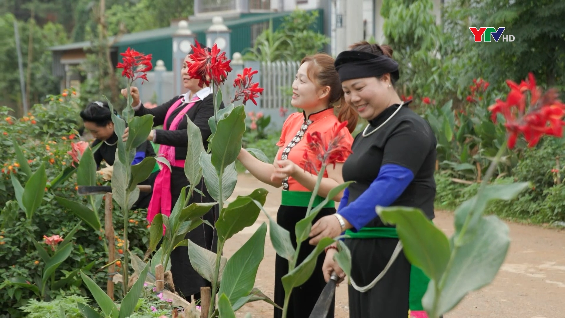 Học và noi gương Bác ở Văn Yên