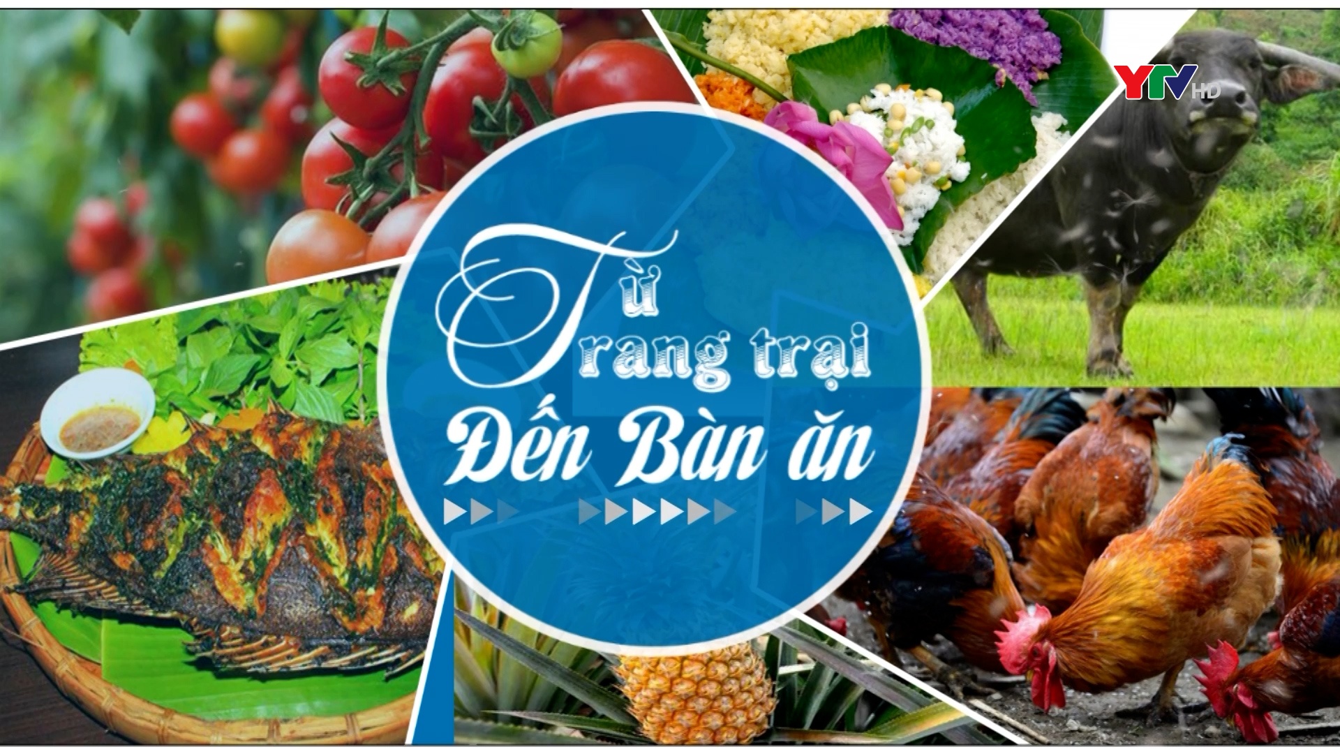 Sản phẩm từ quả Sơn tra – Món quà của vùng cao