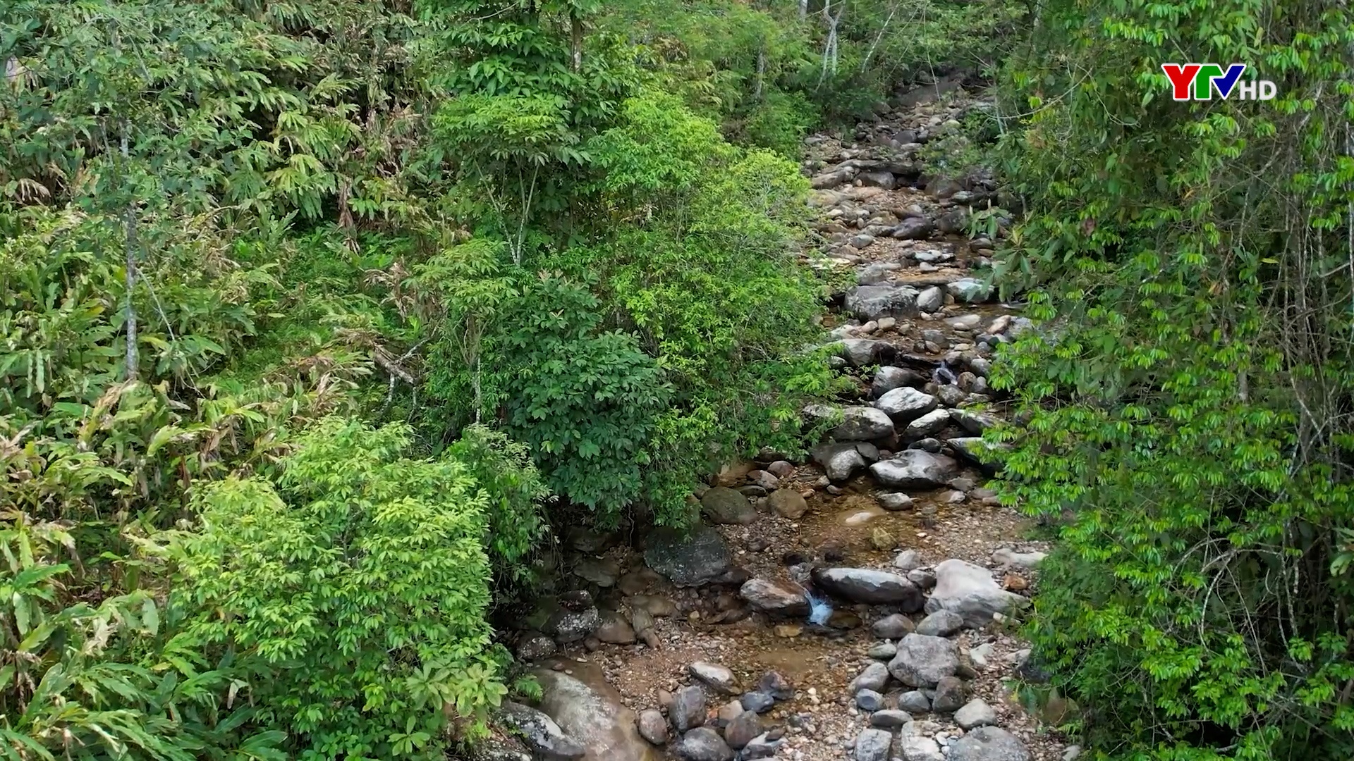 Chế Tạo giữ rừng để bảo vệ môi trường và có nguồn nước phục vụ đời sống người dân