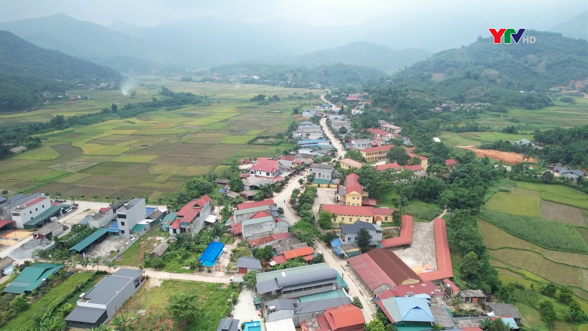 Hồng Ca - Điểm sáng trong giảm nghèo bền vững ở huyện Trấn Yên