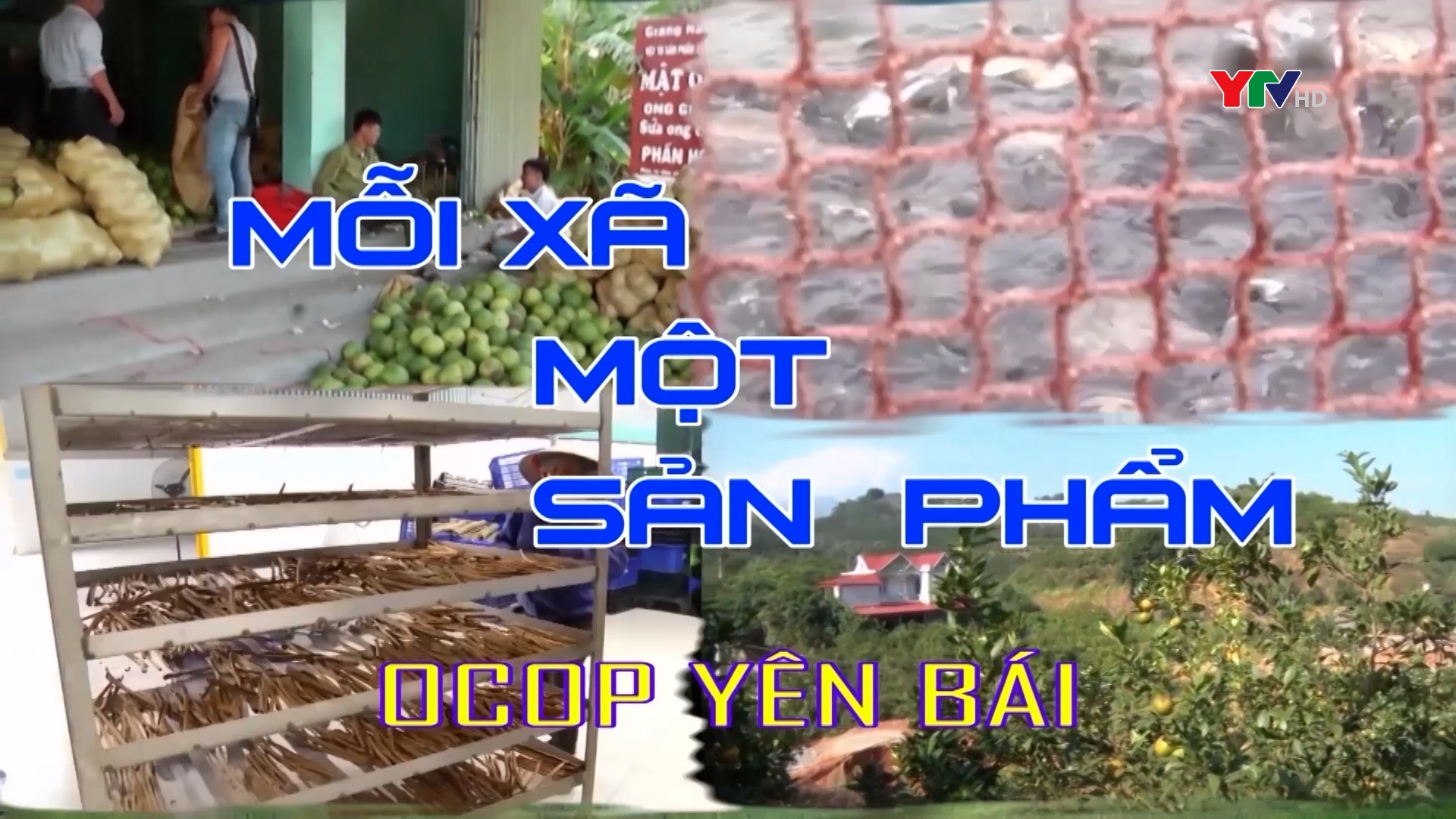 Miến đao Giới Phiên - Sản phẩm OCOP 4 sao được ưa chuộng