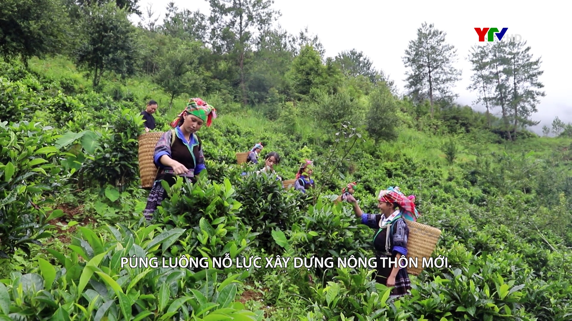 Tạp chí truyền hình tiếng Thái số 1 tháng 6 năm 2024