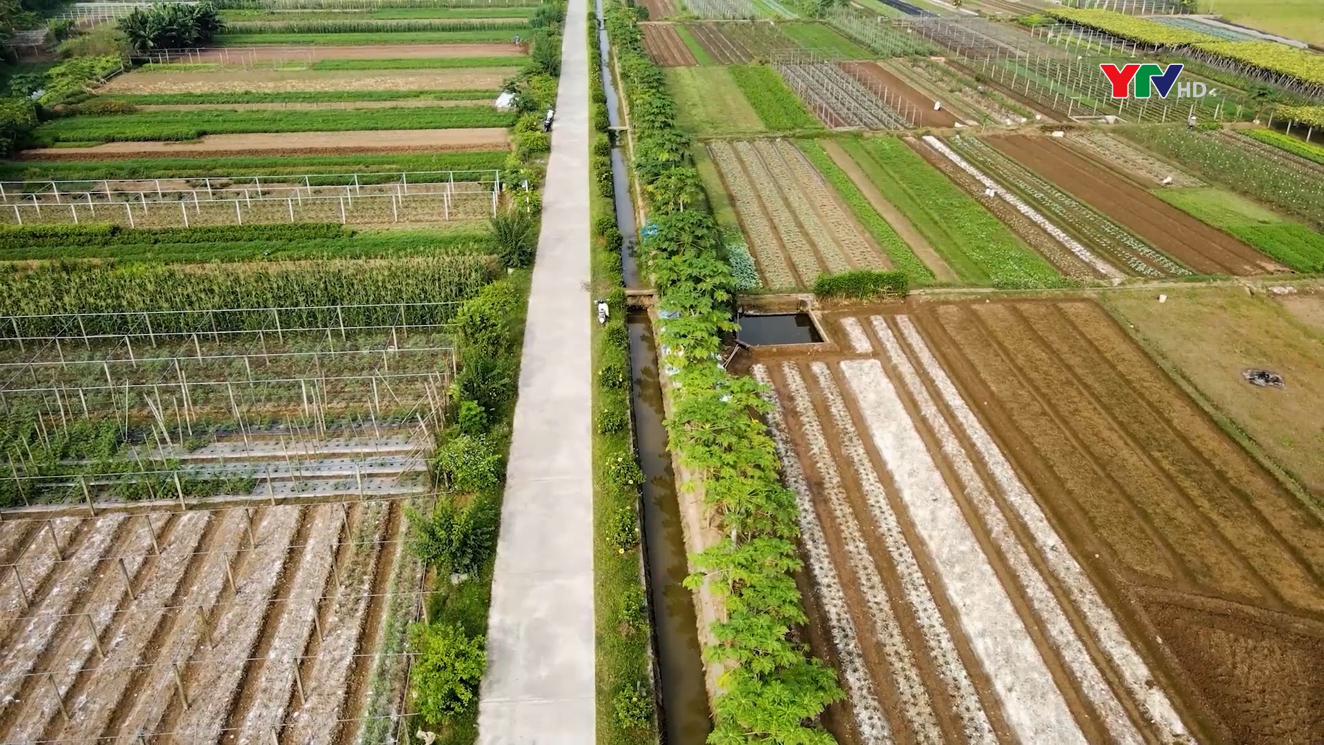 Công ty TNHH Tân Phú đảm bảo nước tưới phục vụ sản xuất vụ mùa