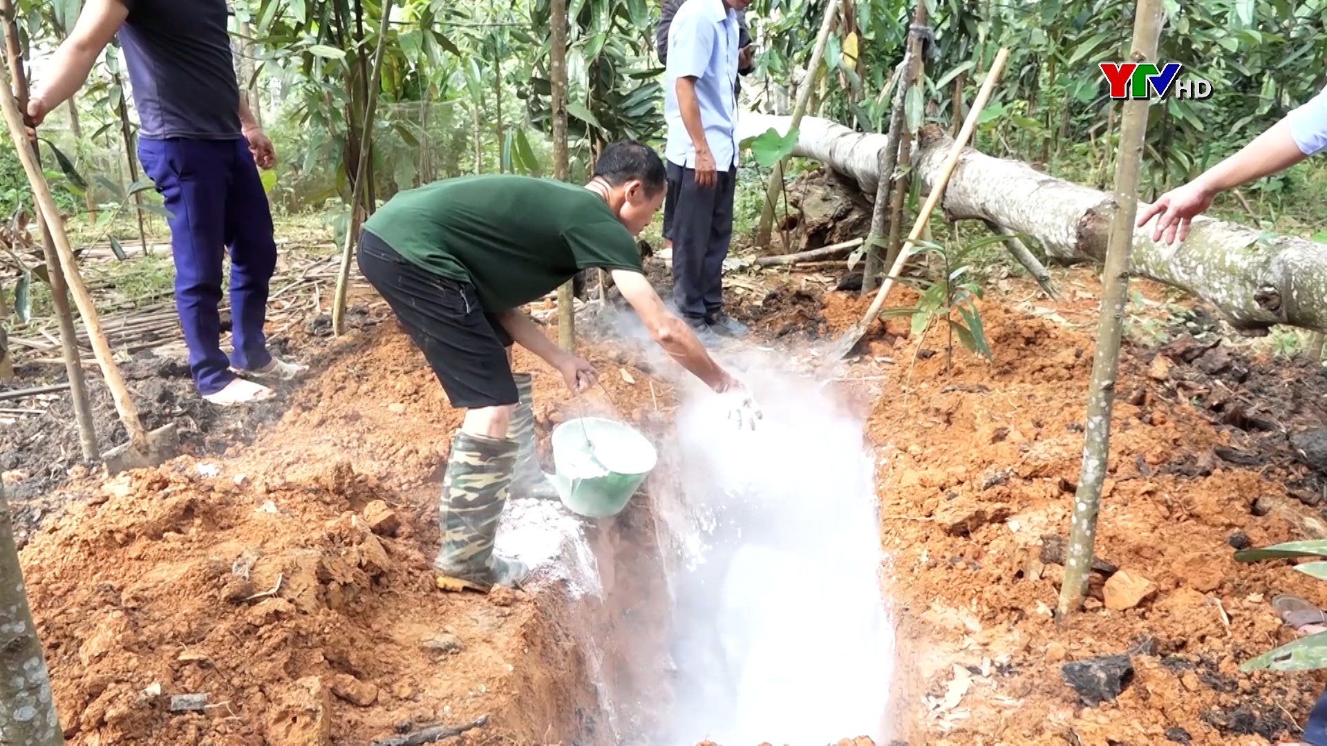 Kinh nghiệm trong ngăn chặn dịch tả lợn châu Phi ở Lục Yên