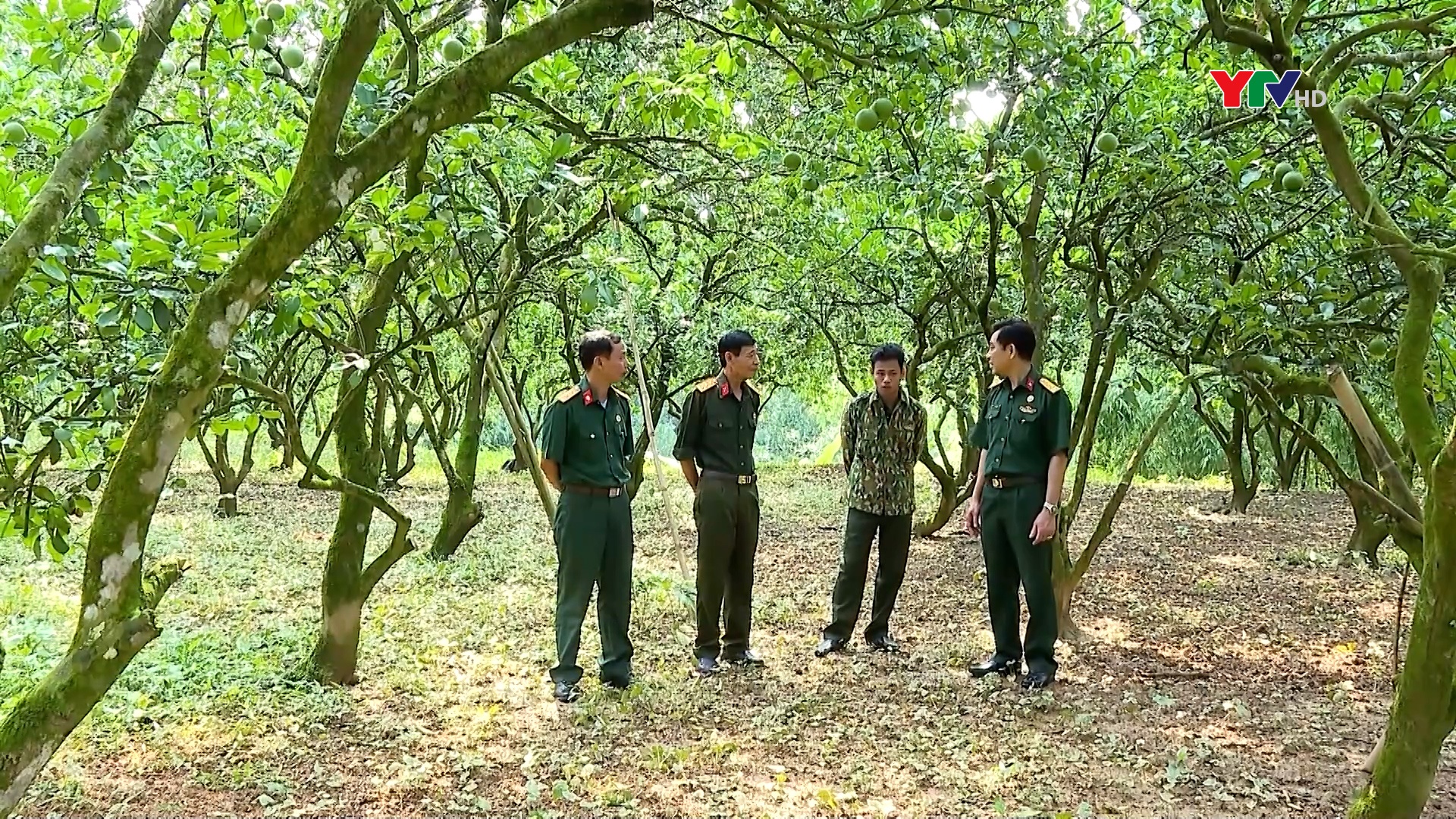 Yên Bình lan tỏa phong trào “Cựu chiến binh gương mẫu”