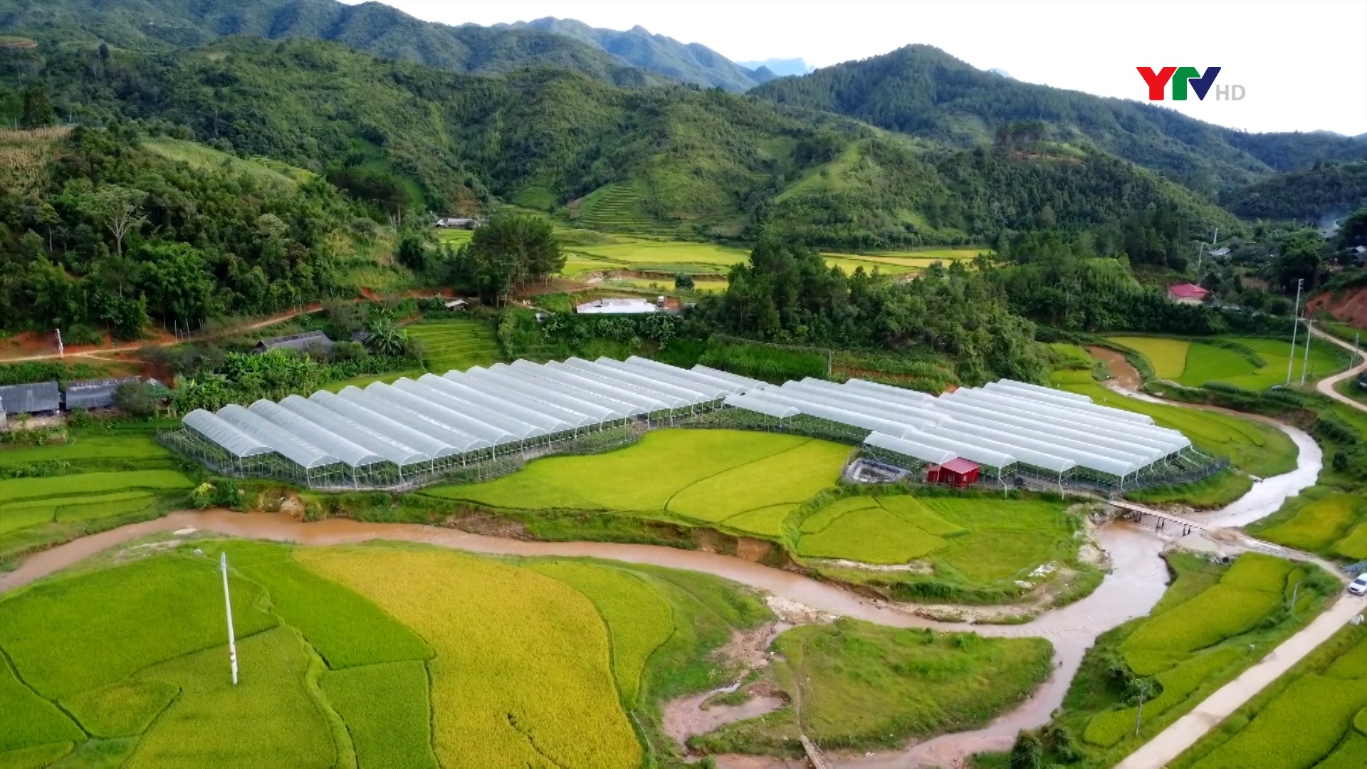 Mô hình sản xuất nông nghiệp công nghệ cao tại xã Nậm Khắt, huyện Mù Cang Chải