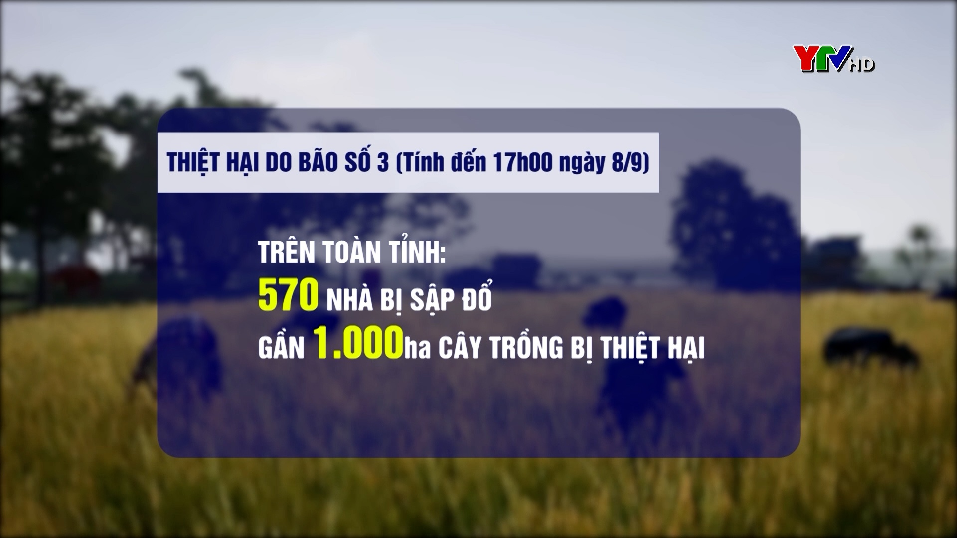 Yên Bái: 1 người chết, 570 nhà bị thiệt hại do bão số 3