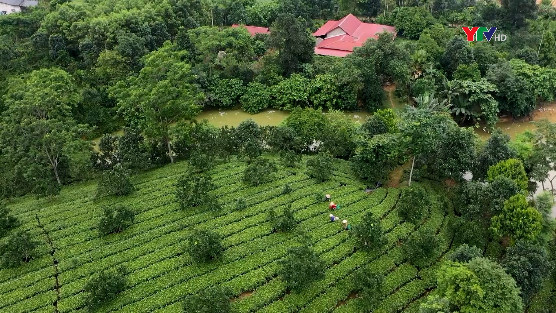 Tạp chí truyền hình tiếng Mông số 5 tháng 9 năm 2024