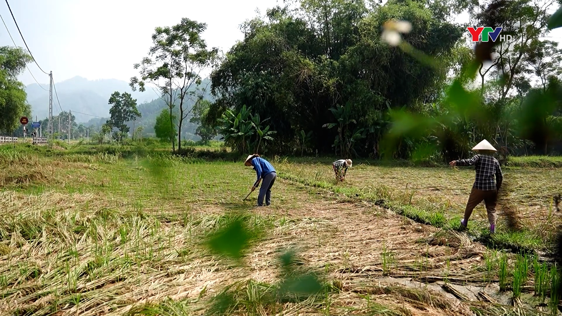 Nông dân Lục Yên sẵn sàng cho những thách thức mới