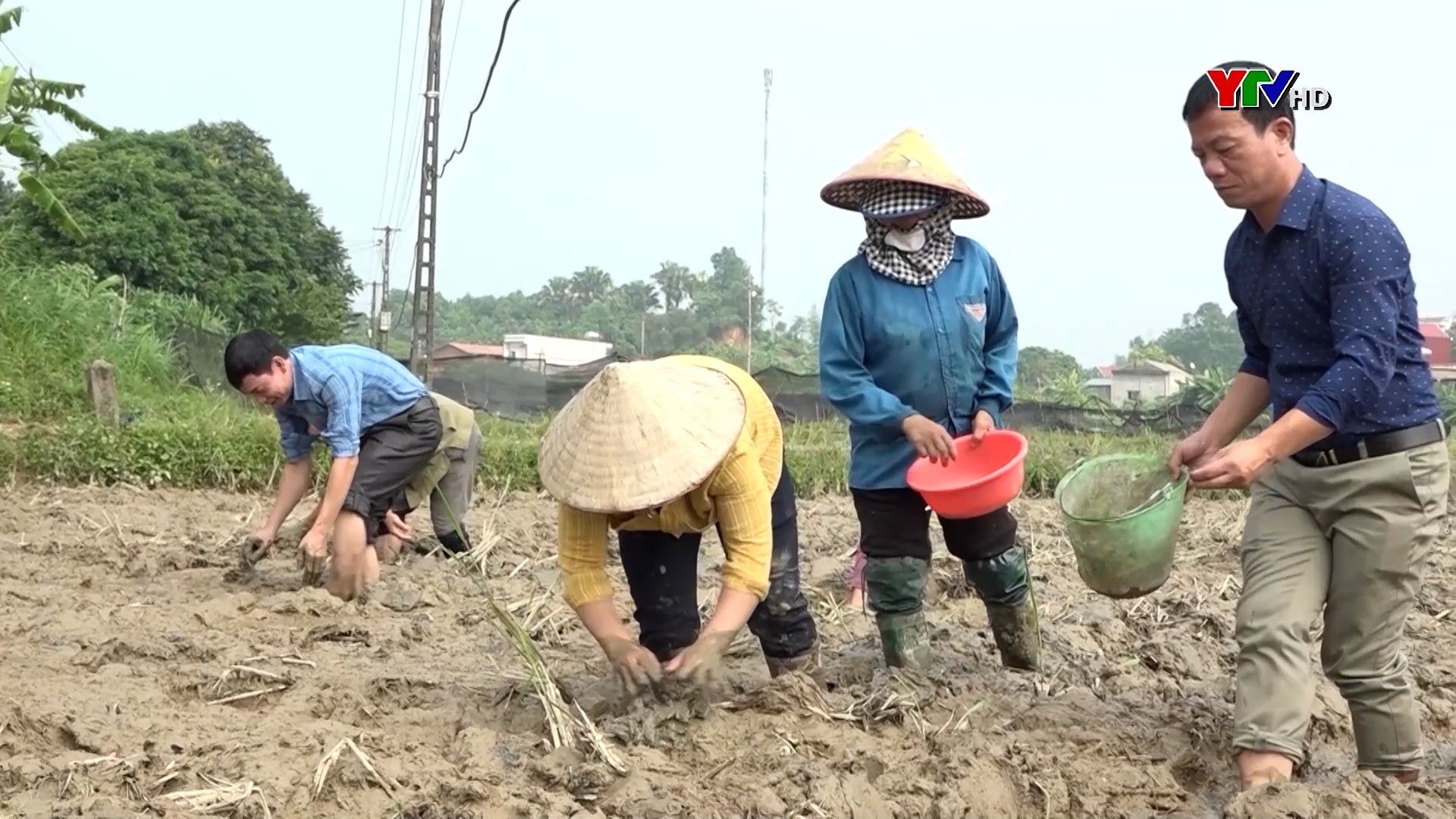 Văn Yên: Quyết tâm không để đất hoang hóa sau lũ bão