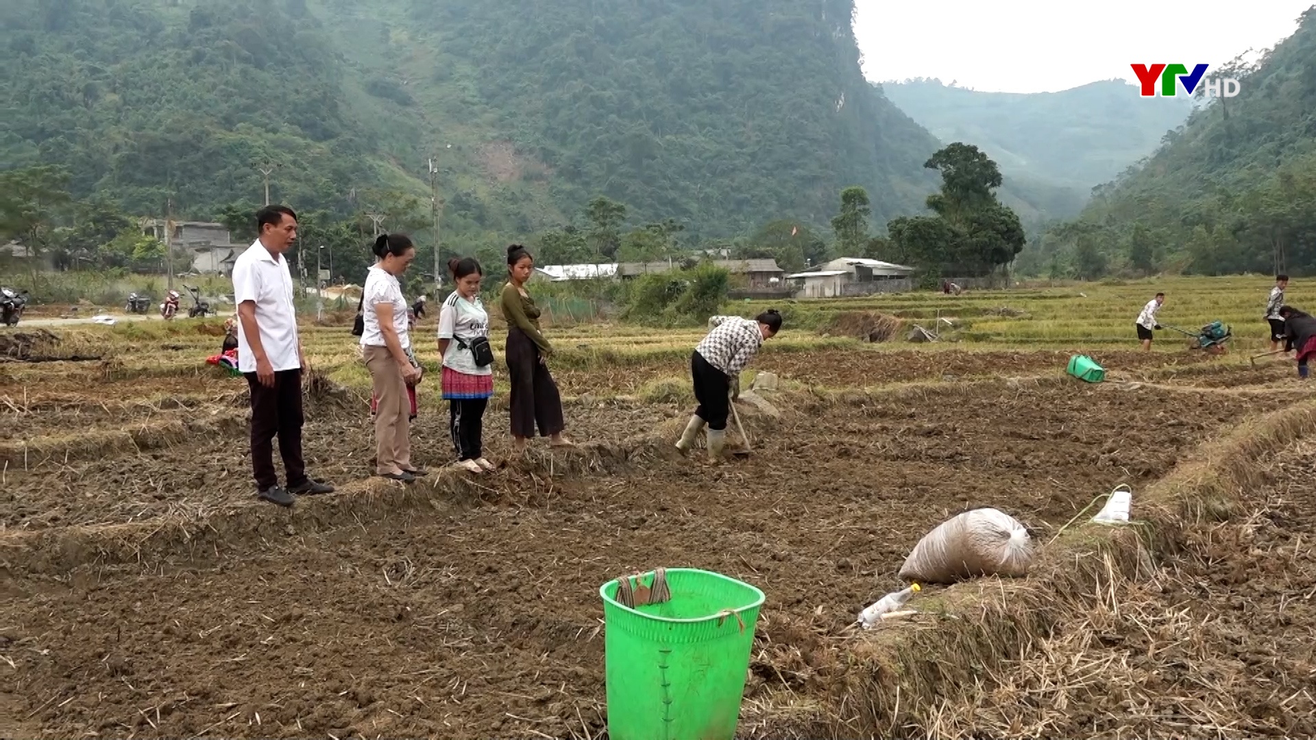 Đồng bào Mông xã Suối Bu (Văn Chấn) thay đổi tư duy sản xuất vụ đông