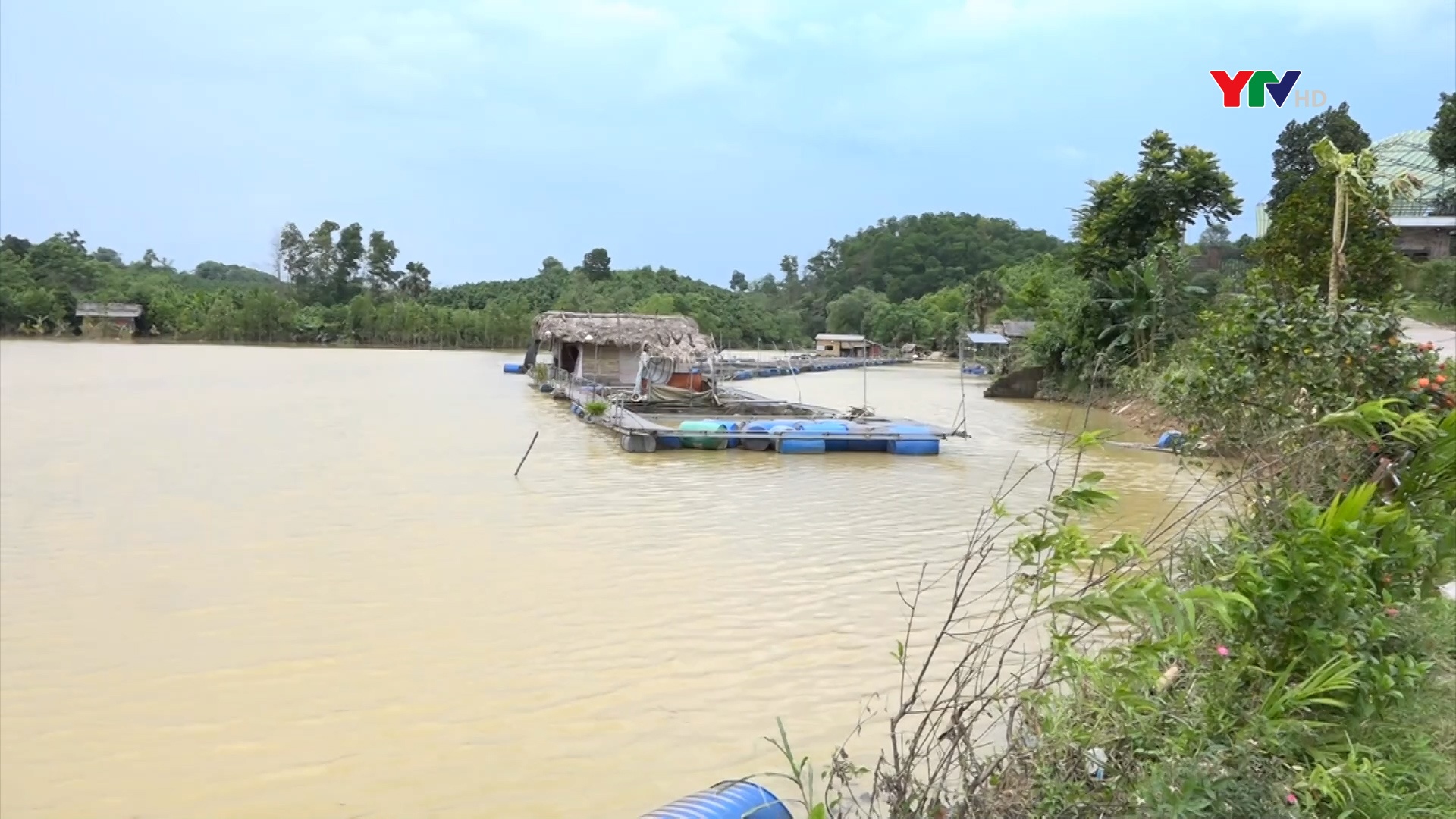 Khôi phục thủy sản gặp khó sau bão