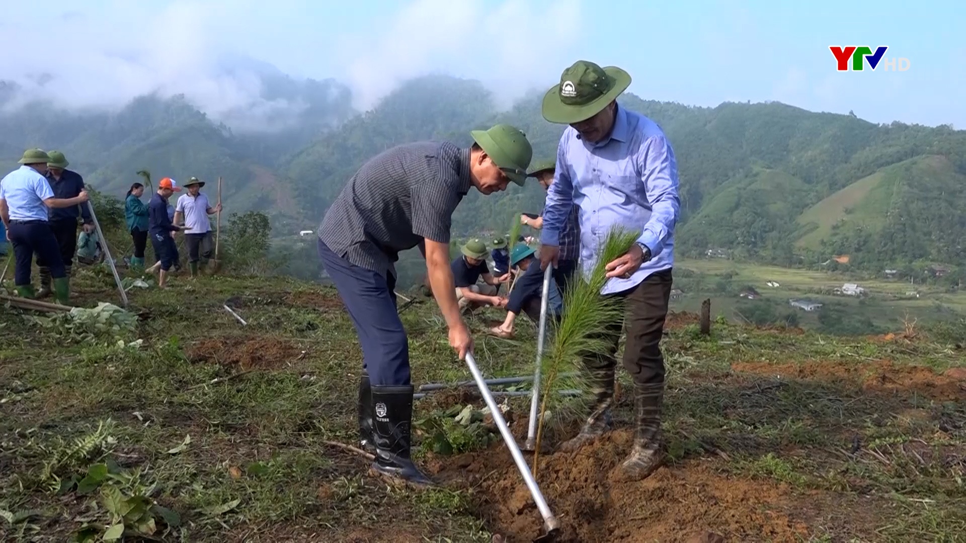 Đồng chí Phó Chủ tịch Thường trực UBND tỉnh Nguyễn Thế Phước trồng cây thông Caribe cùng nhân dân thôn Bản Vần, xã Việt Hồng, huyện Trấn Yên