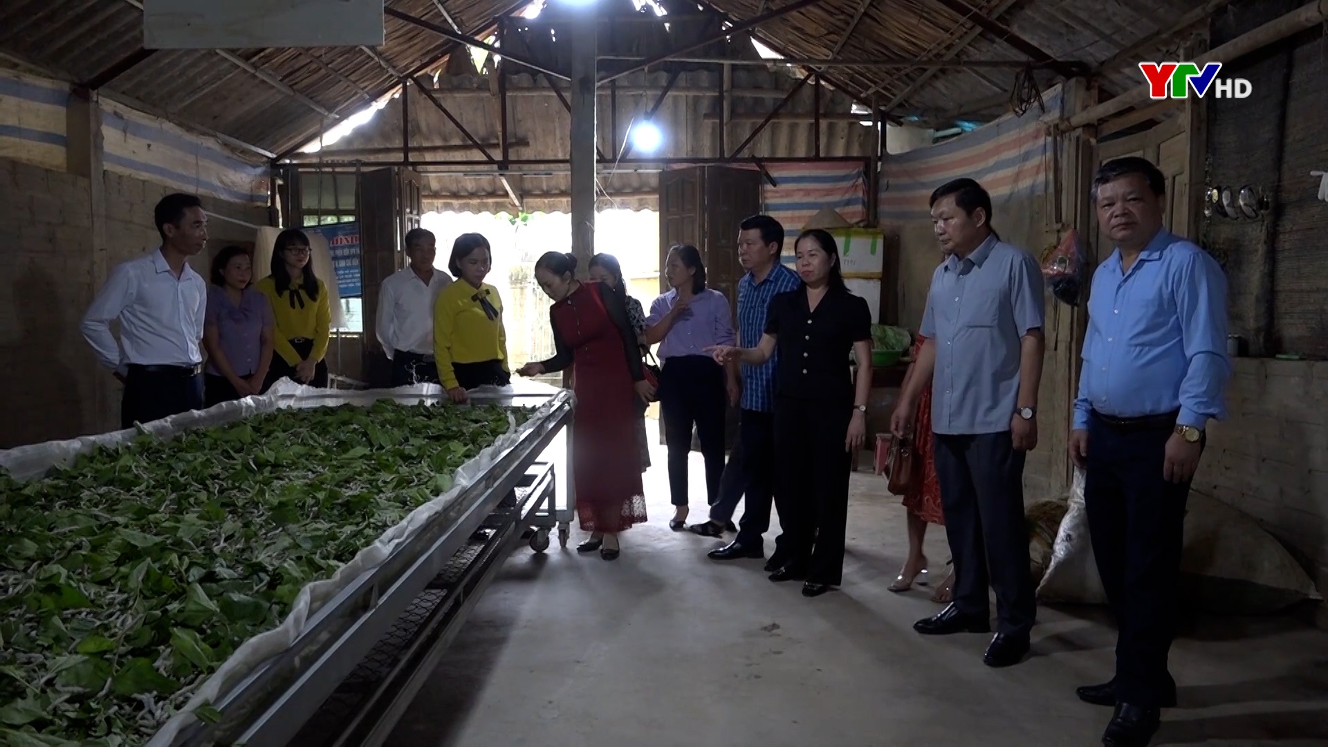 Huyện Đô Lương, tỉnh Nghệ An học tập kinh nghiệm trồng dâu nuôi tằm tại Trấn Yên