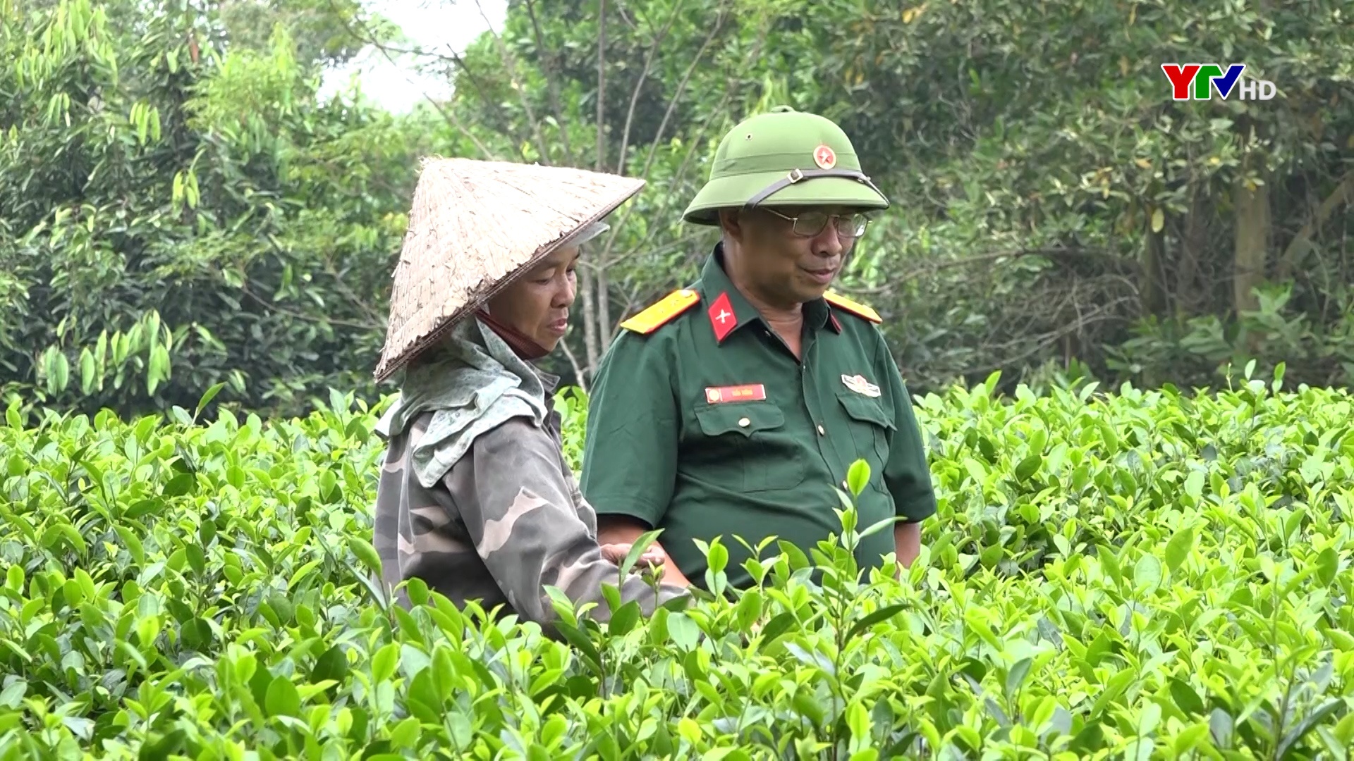 Cựu chiến binh tiêu biểu giữa đời thường