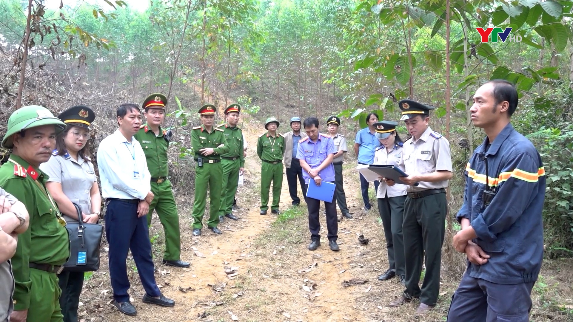 Cục Thi hành án dân sự tỉnh Yên Bái cưỡng chế buộc chuyển giao quyền sử dụng đất tại huyện Yên Bình