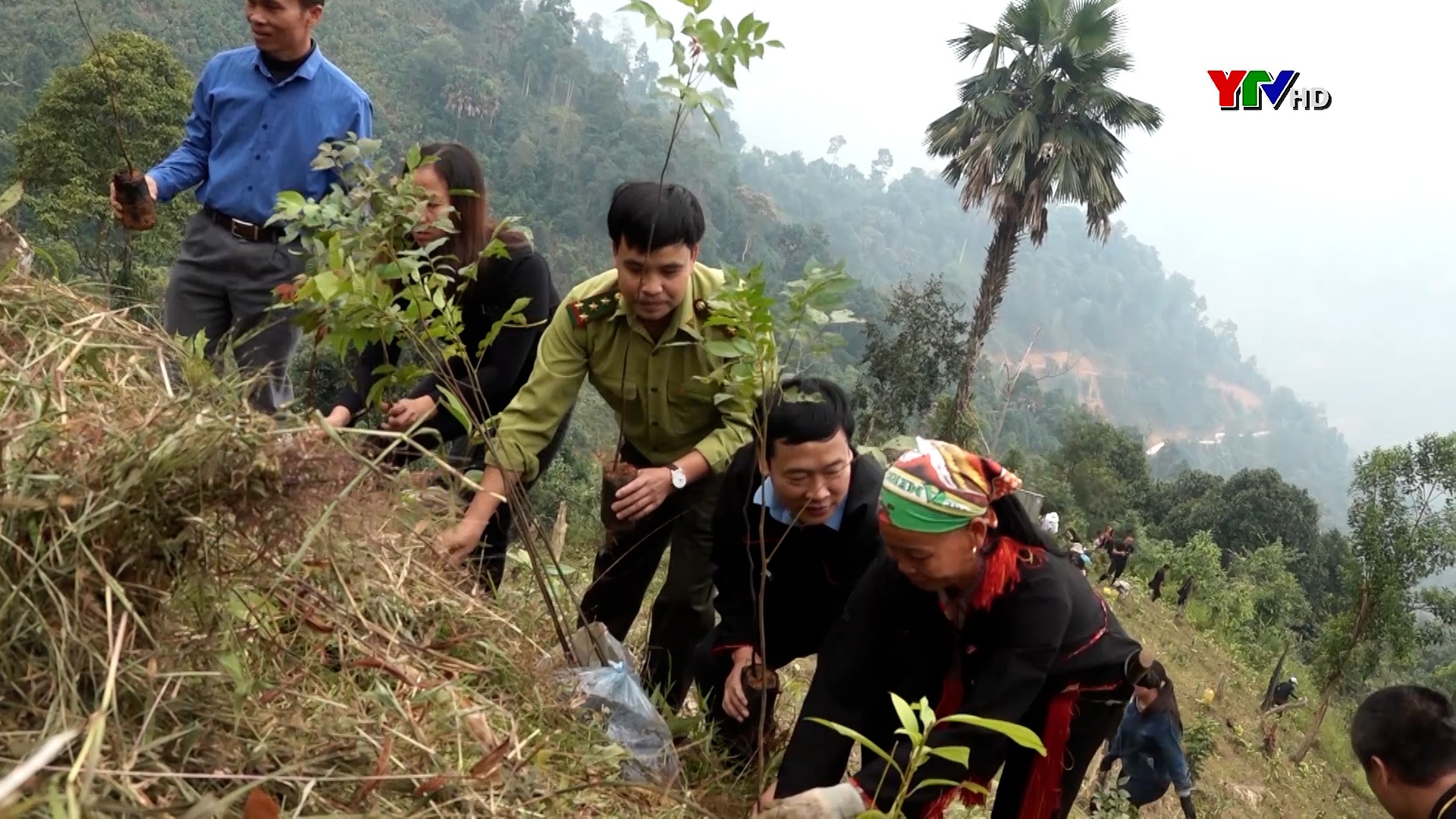 Văn Chấn ra quân trồng 2000 cây xanh tại thôn Vàng Ngần, xã Suối Quyền