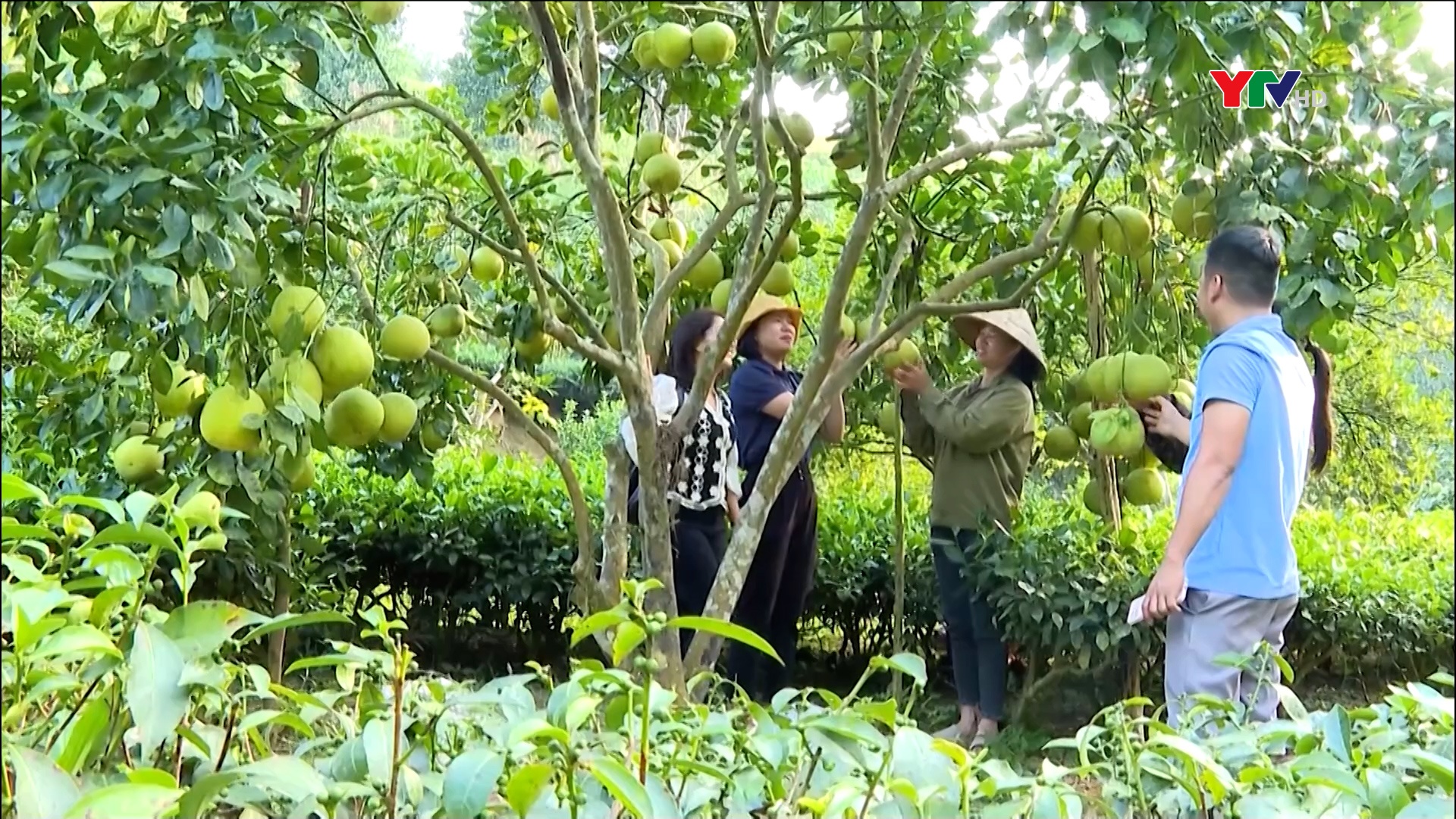 Yên Bình: Nhân rộng các mô hình, điển hình tiên tiến học và làm theo Bác