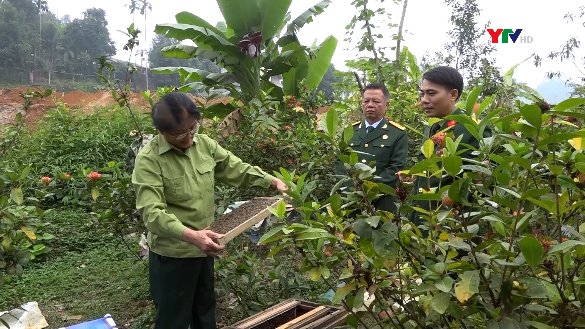 Cựu chiến binh Yên Bái phát huy phẩm chất bộ đội Cụ Hồ trong xây dựng quê hương