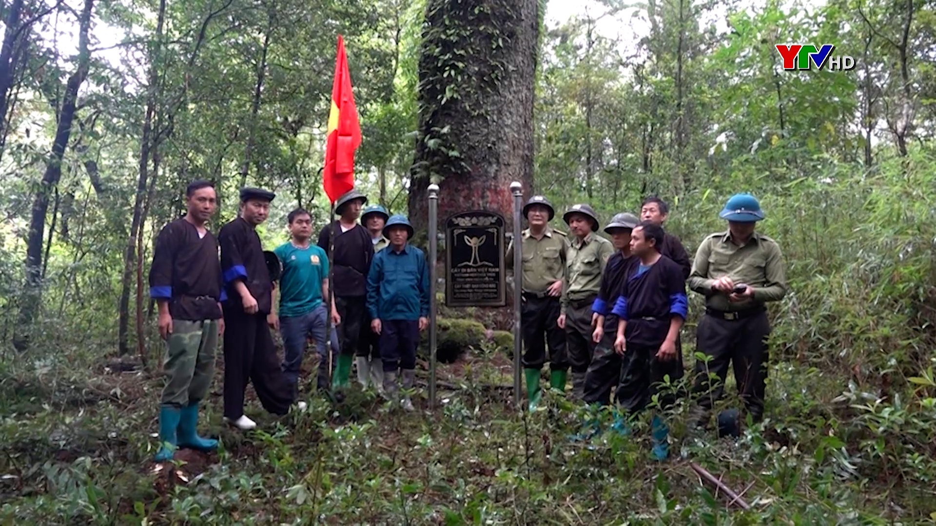 Người Mông Chế Tạo nỗ lực bảo vệ rừng