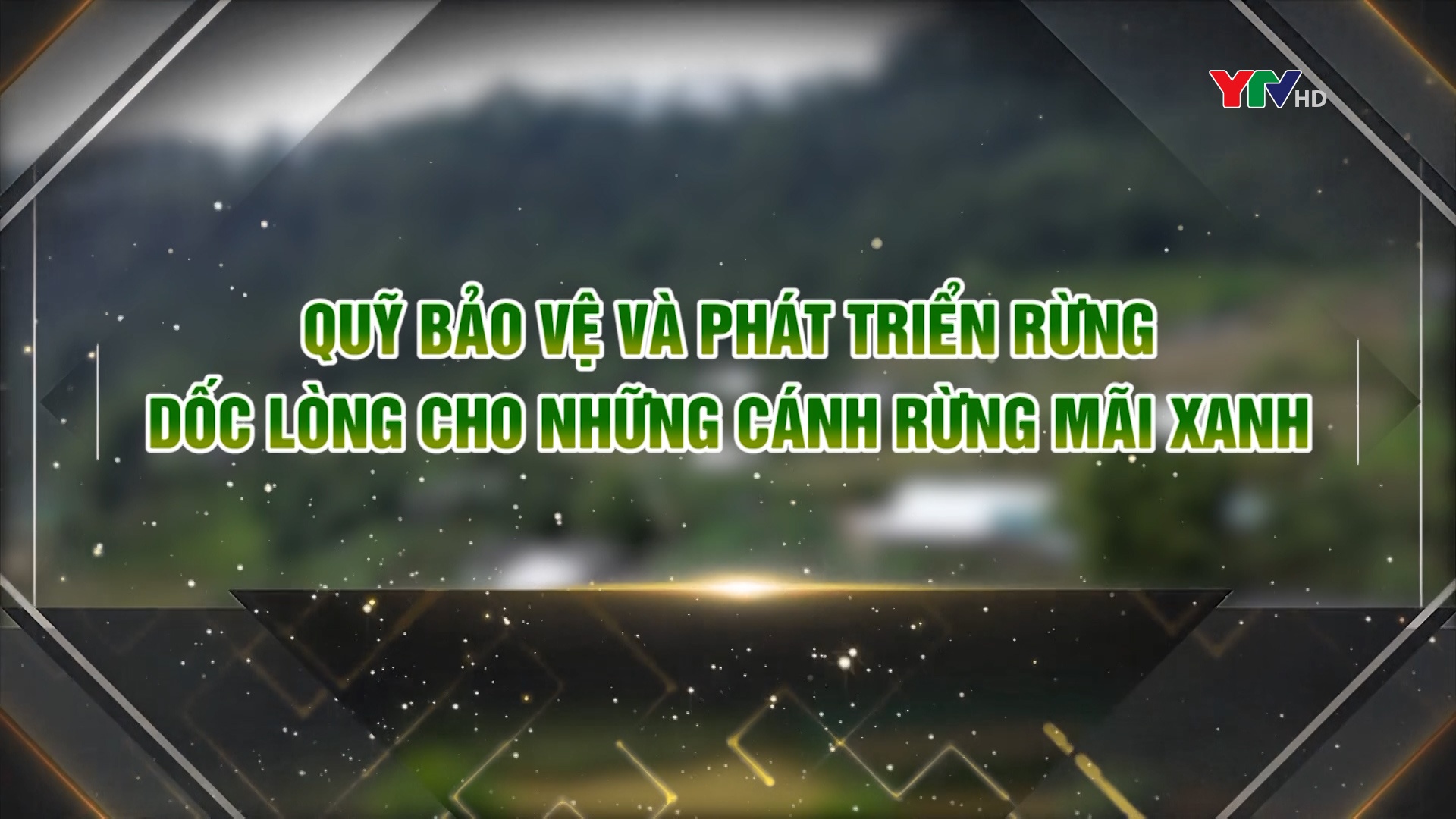 Quỹ bảo vệ và phát triển rừng dốc lòng cho những cánh rừng mãi xanh