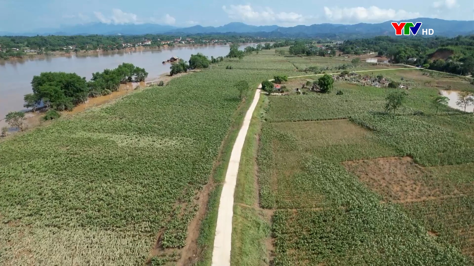 Màu xanh trở lại trên quê hương Thành Thịnh