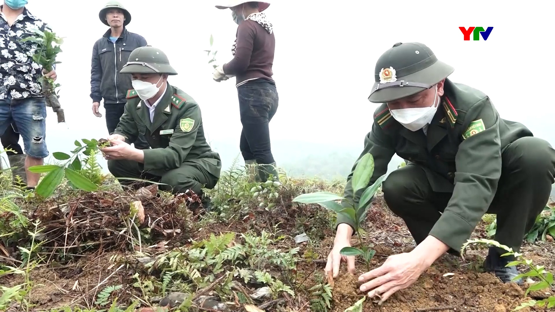 Lục Yên phấn đấu trồng mới trên 2.600 ha rừng trong năm 2025