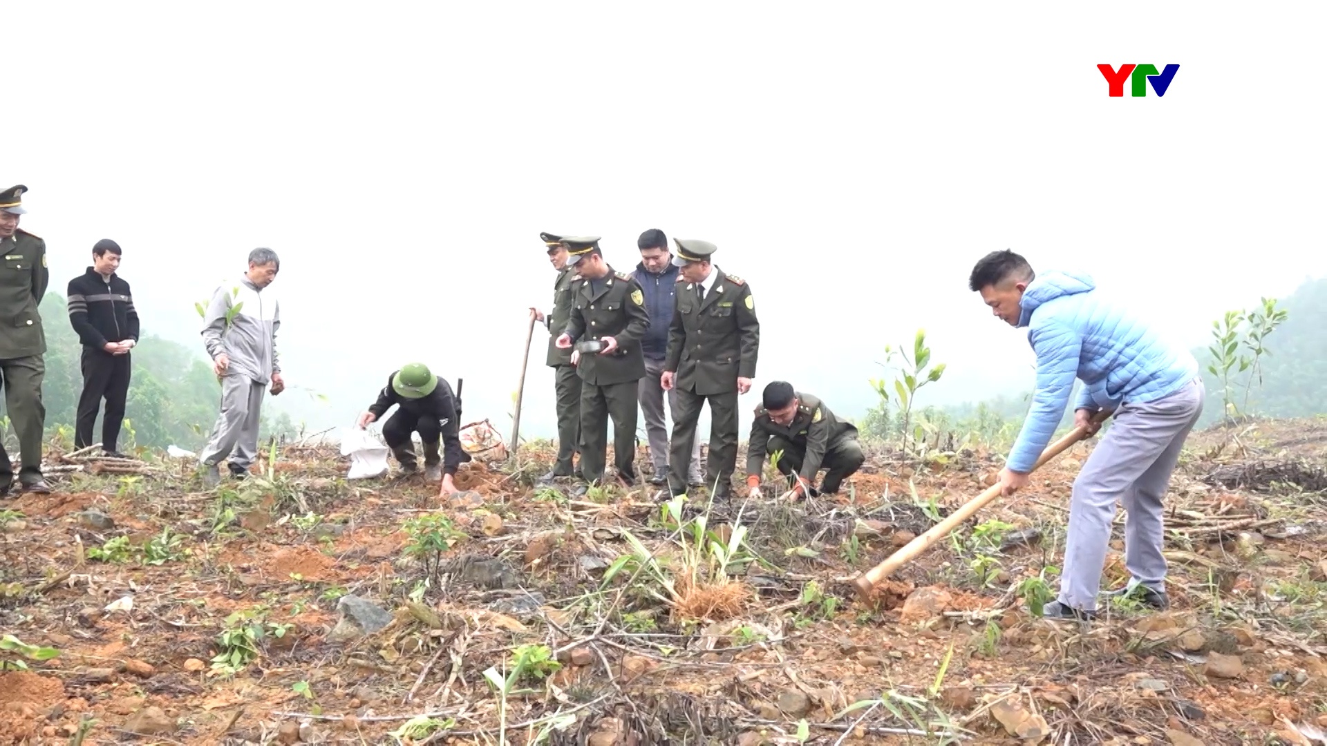 Yên Bái tích cực trồng rừng vụ xuân