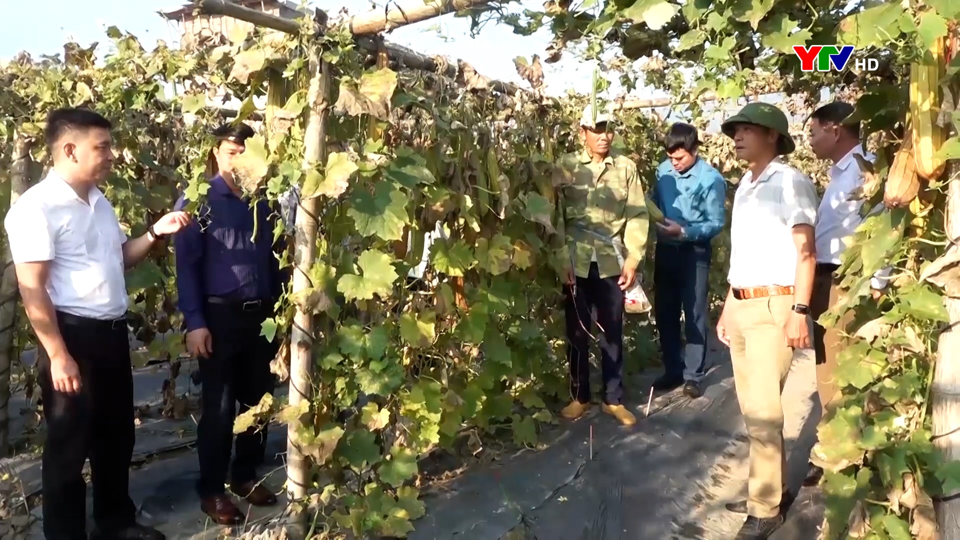 Thay đổi tư duy sản xuất nông nghiệp, nâng cao thu nhập