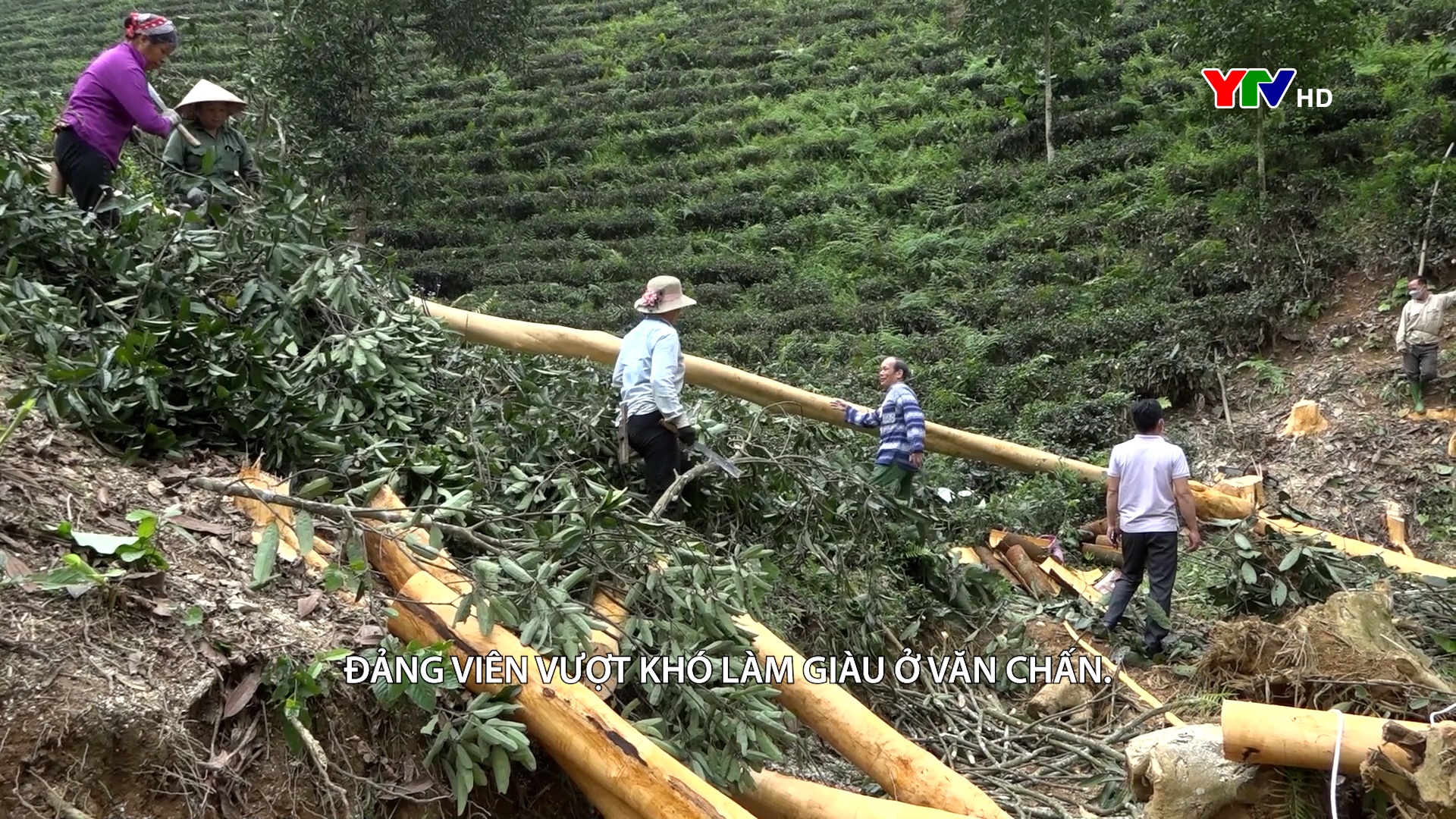 Tạp chí truyền hình tiếng Thái số 1 tháng 4 năm 2025