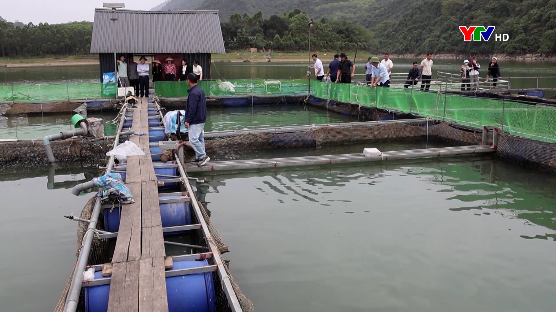 Nông dân Lục Yên đa dạng hóa mô hình phát triển kinh tế hiệu quả