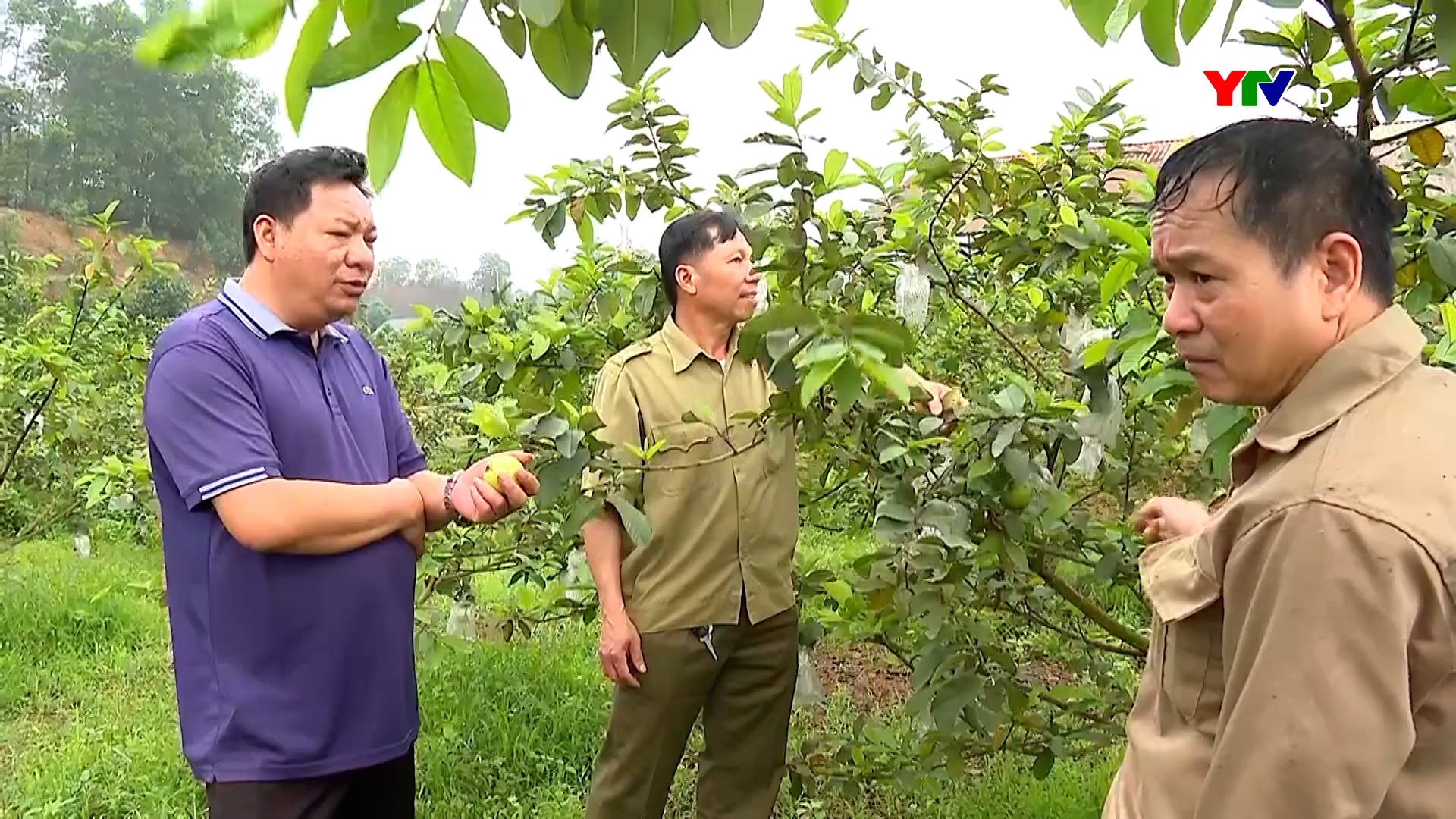 Cựu chiến binh nêu gương sáng