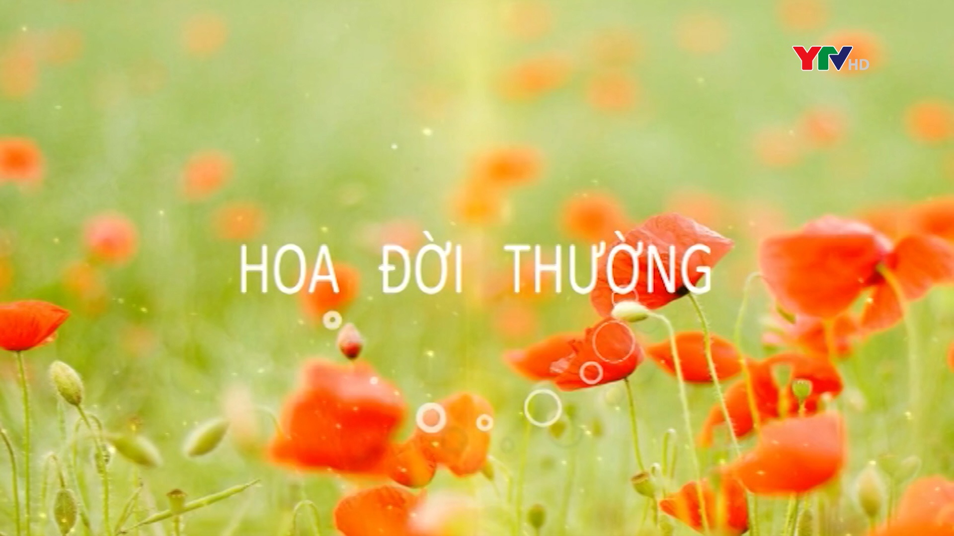 Làm giàu trên quê hương từ đôi bàn tay trắng