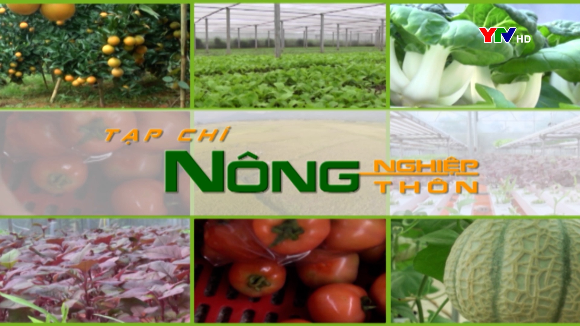 Yên Bái phát triển chăn nuôi bền vững