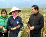 Đ/c Dương Văn Thống-phó BTTT tỉnh ủy kiểm tra sản xuất đông xuân tại huyện Văn Chấn