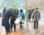 Thành phố Yên Bái ra quân tổ chức Tết trồng cây đầu năm