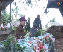 Chị Nguyễn Thị Nhường với mô hình trồng hoa