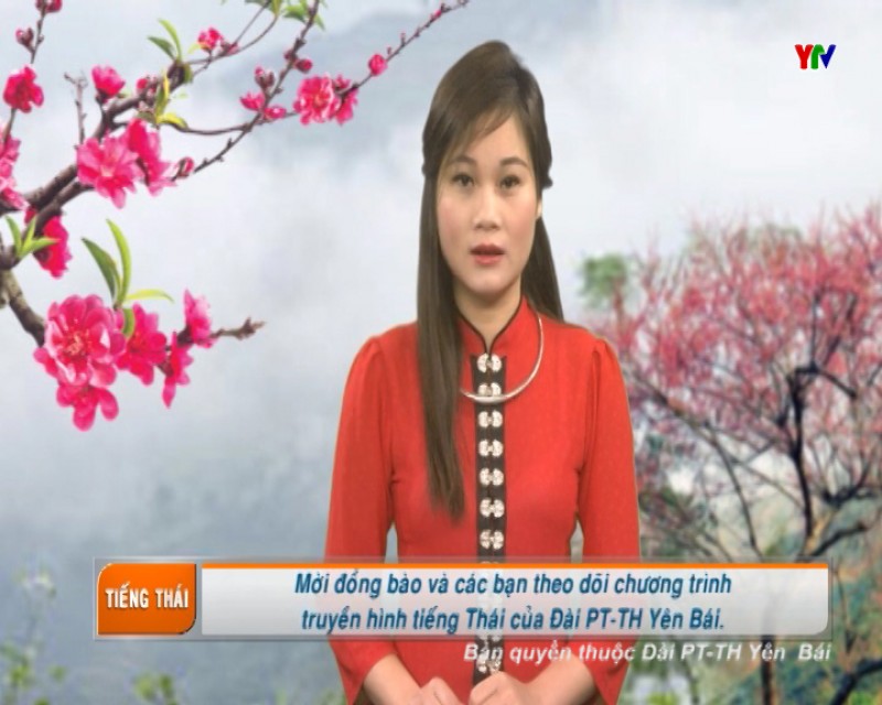 Chương trình truyền hình Tiếng Thái số 4 tháng 1 2017
