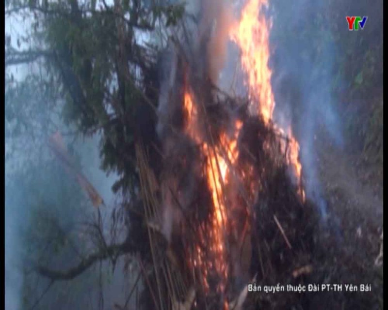 Huyện Trạm Tấu chủ động phòng chống cháy rừng mùa khô hanh