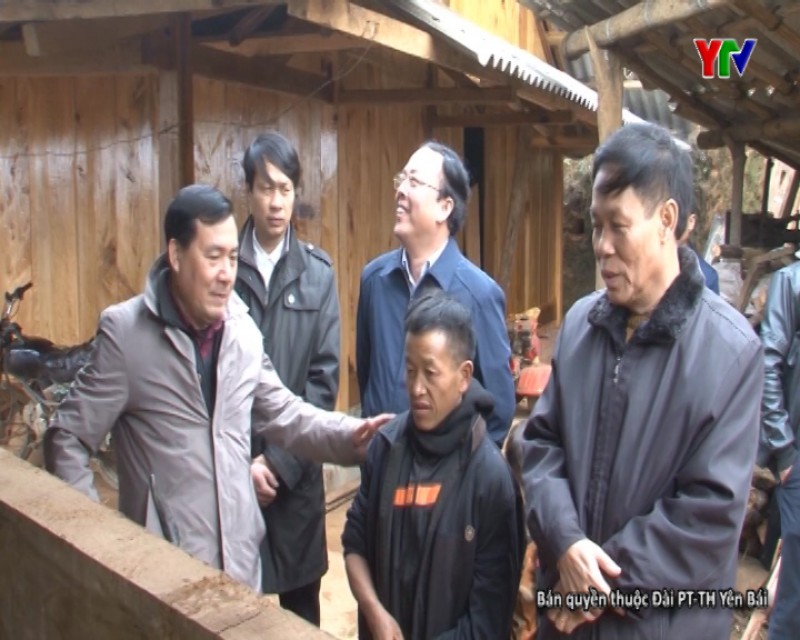 Đ/c Nguyễn Văn Khánh - Phó Chủ tịch UBND tỉnh kiểm tra công tác phòng chống rét tại huyện Mù Cang Chải