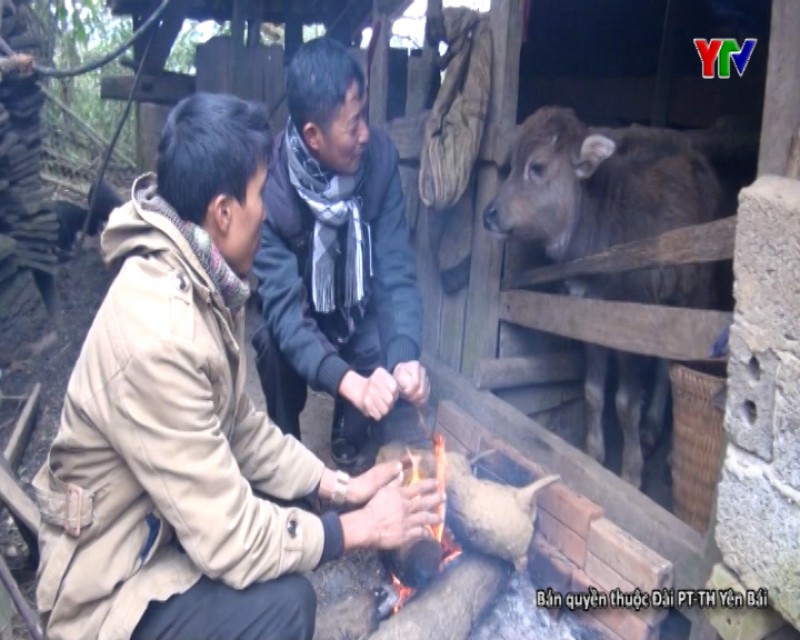 Người dân xã La Pán Tẩn huyện Mù Cang Chải đối phó với rét đậm, rét hại