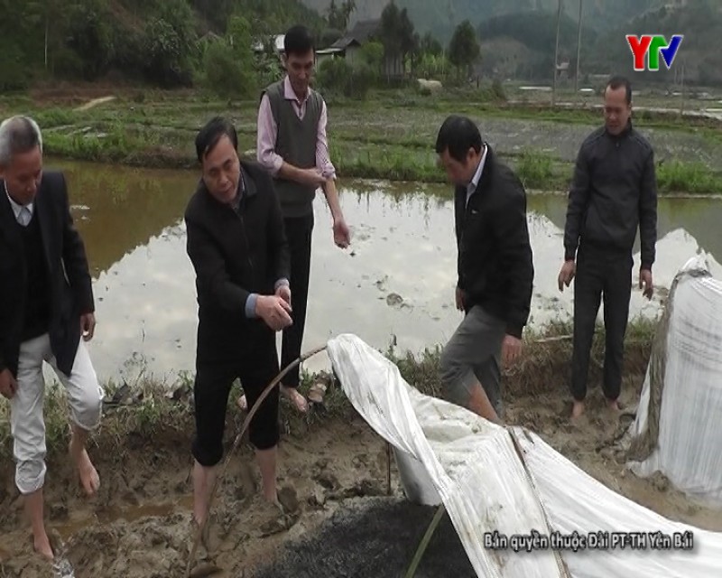 Lãnh đạo Sở Nông nghiệp và PTNT kiểm tra công tác phòng, chống rét tại huyện Văn Yên
