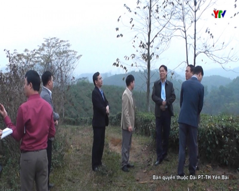 Tập đoàn Văn Phú - Invest tìm hiểu cơ hội đầu tư phát triển nông nghiệp tại tỉnh Yên Bái