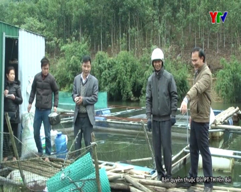 Người bạn đồng hành với nông nghiệp, nông dân, nông thôn Văn Yên