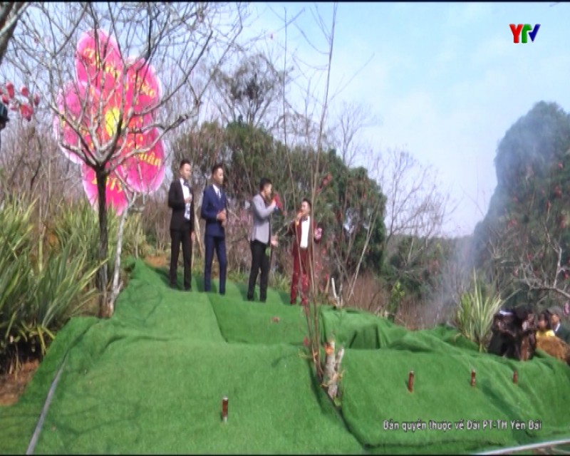 Chương trình "Vườn đào vào xuân" tại huyện Văn Chấn