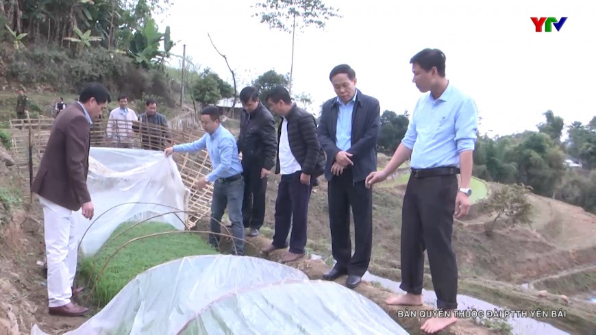 Đồng chí Phó Chủ tịch UBND tỉnh Nguyễn Văn Khánh: Trạm Tấu cần chuẩn bị các điều kiện cho sản xuất vụ đông - xuân và bảo vệ đàn gia súc