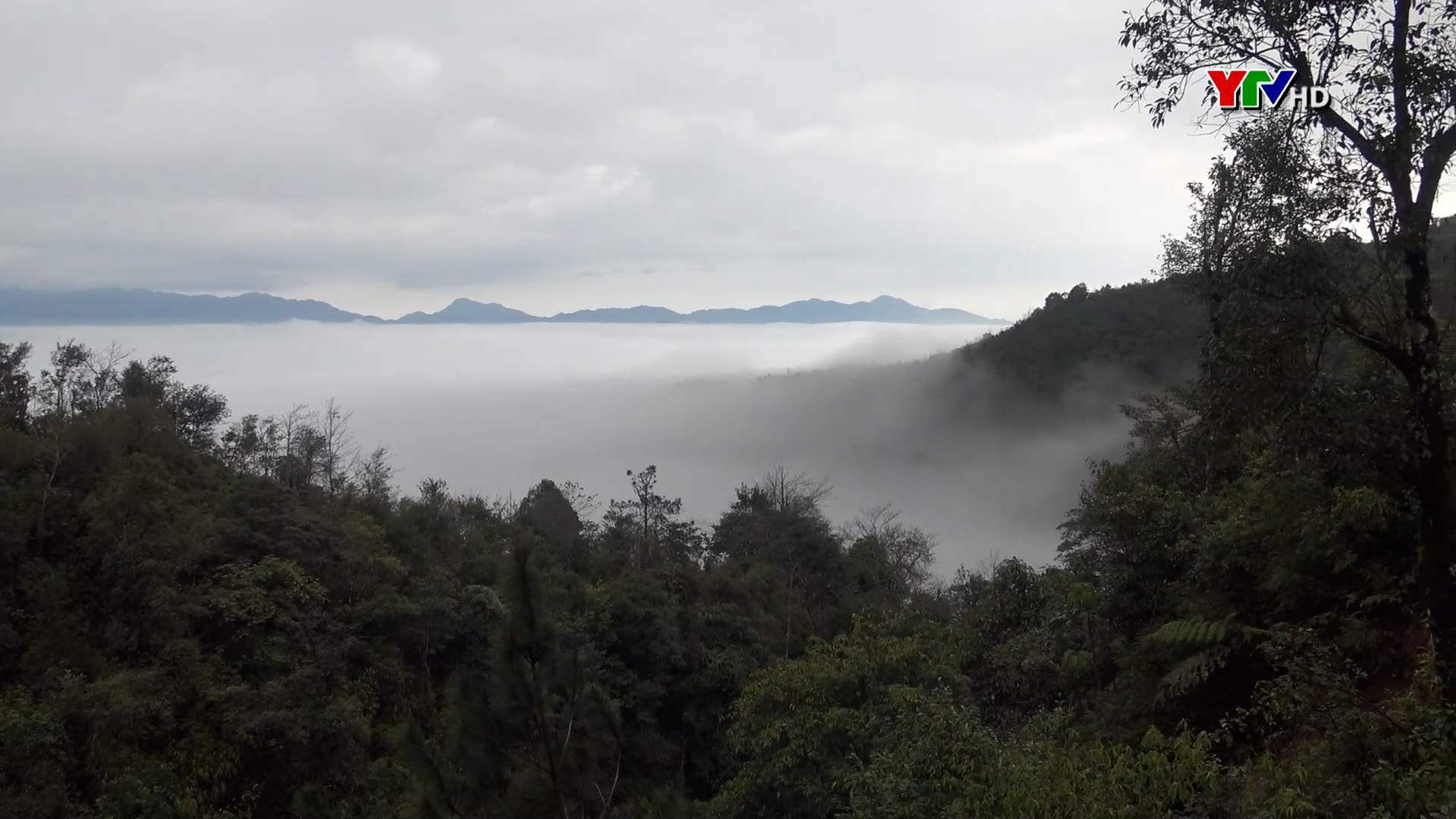Chuyển biến trong công tác bảo vệ rừng ở xã Cao Phạ, huyện Mù Cang Chải