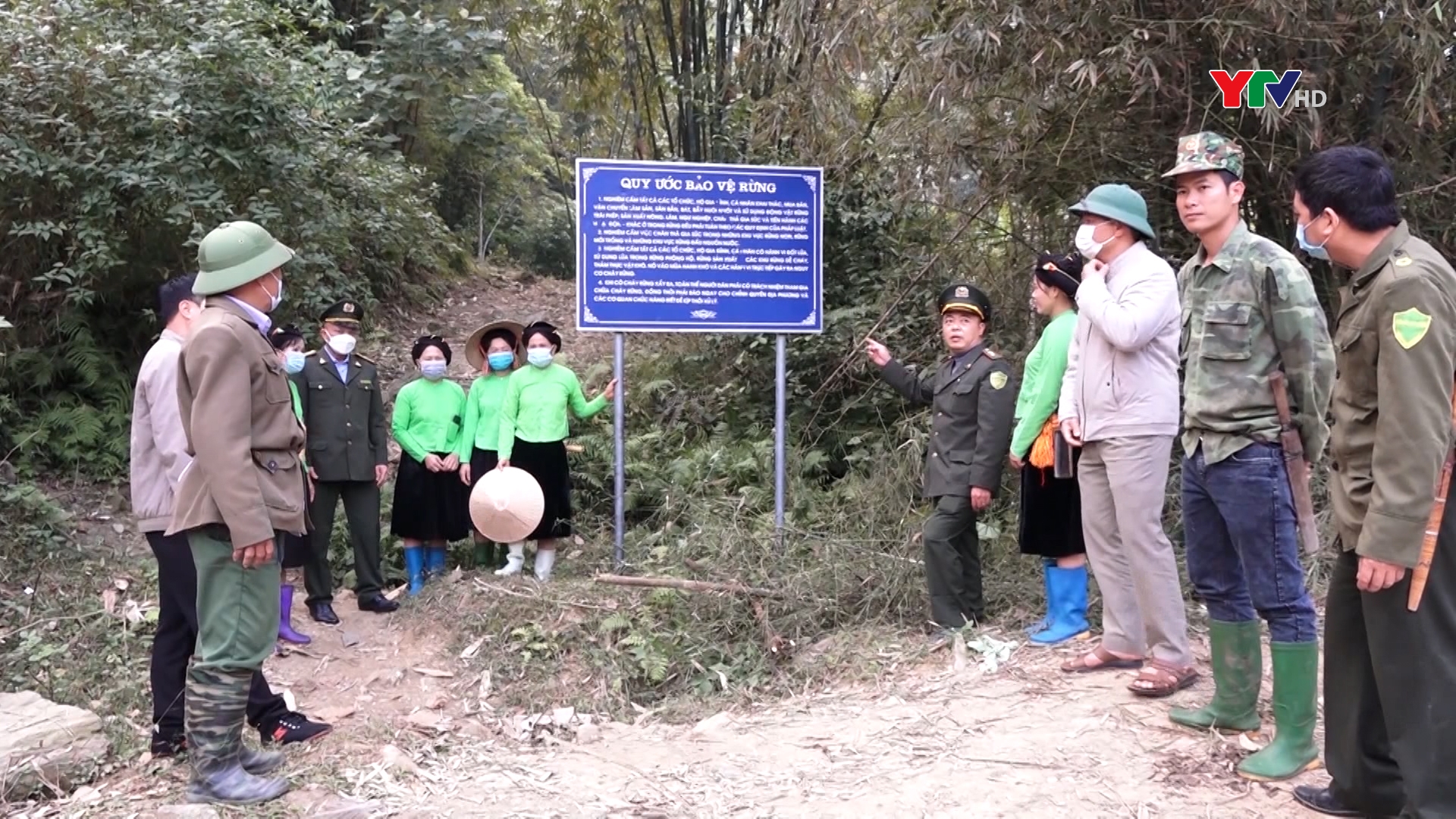 Huyện Lục Yên trồng mới trên 2.600ha rừng kinh tế