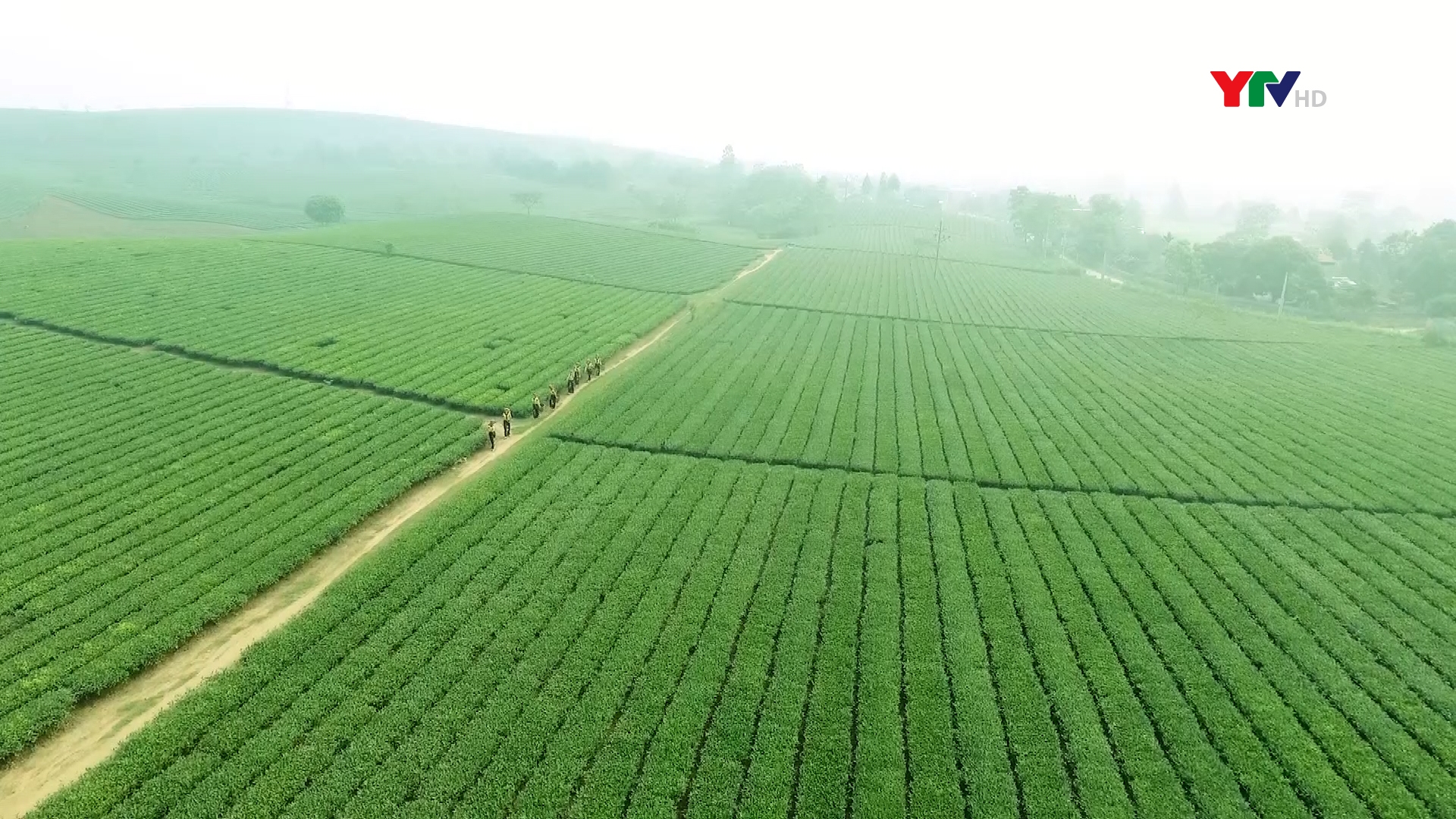 Nâng cao nhận thức cộng đồng về hàng hoá & dịch vụ nông nghiệp Việt Nam  đến người tiêu dùng trong tỉnh
